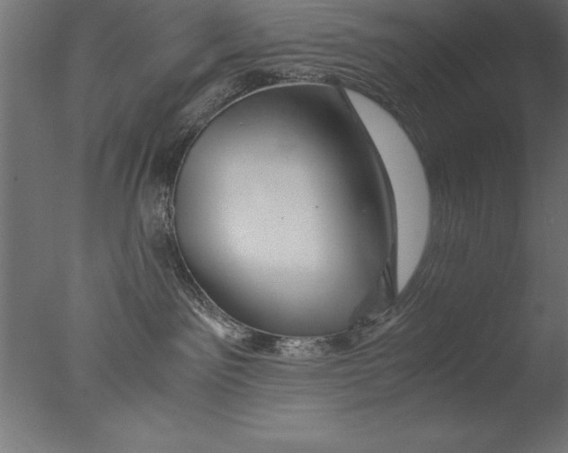 X0000076310141200610201622