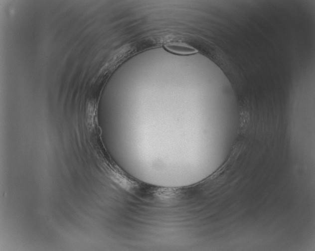 X0000076310142200610201622