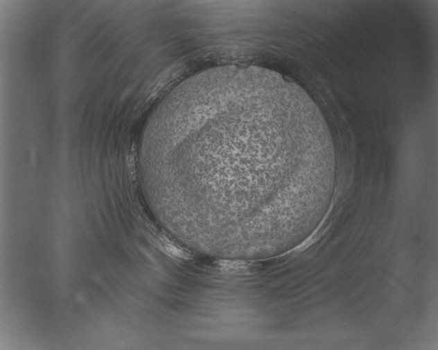 X0000076310144200610201622