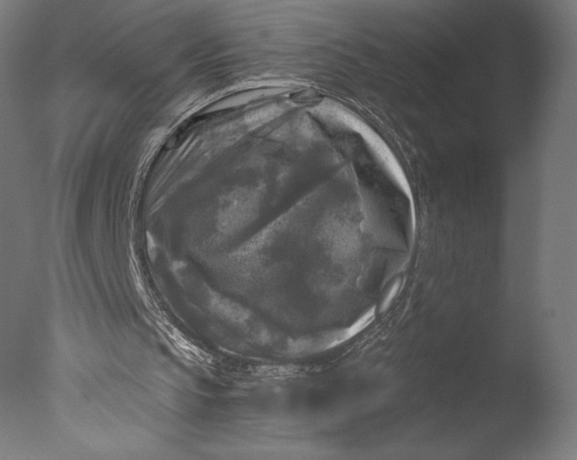 X0000076310145200610201621