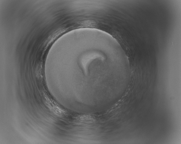 X0000076310146200610201621