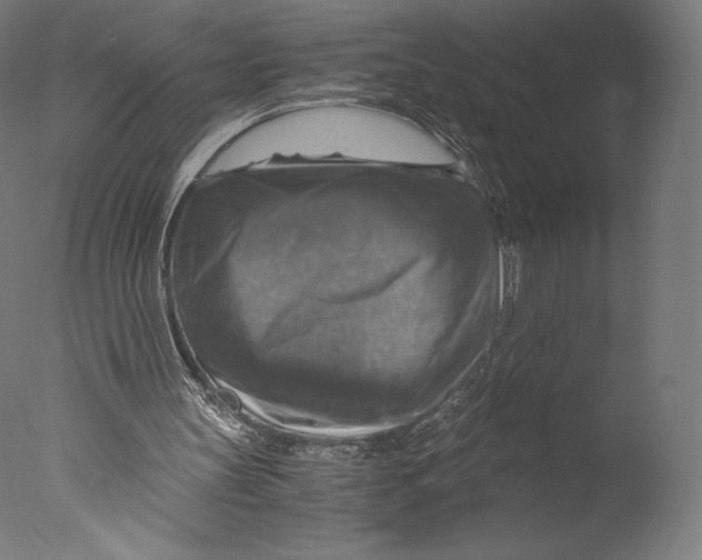 X0000076310147200610201621