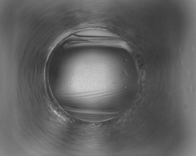 X0000076310148200610201621