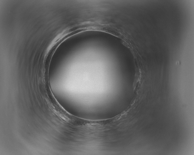 X0000076310150200610201621