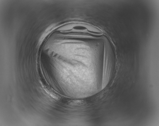 X0000076310151200610201621