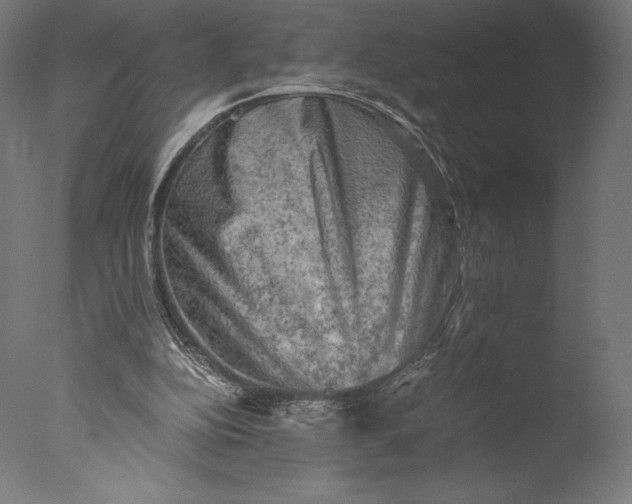 X0000076310152200610201622