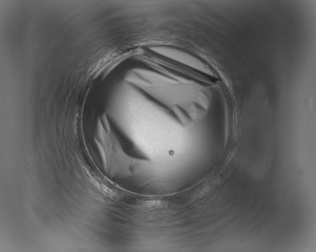 X0000076310153200610201622