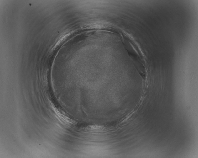 X0000076310154200610201622