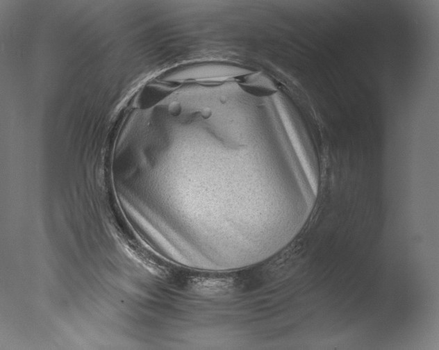 X0000076310155200610201622