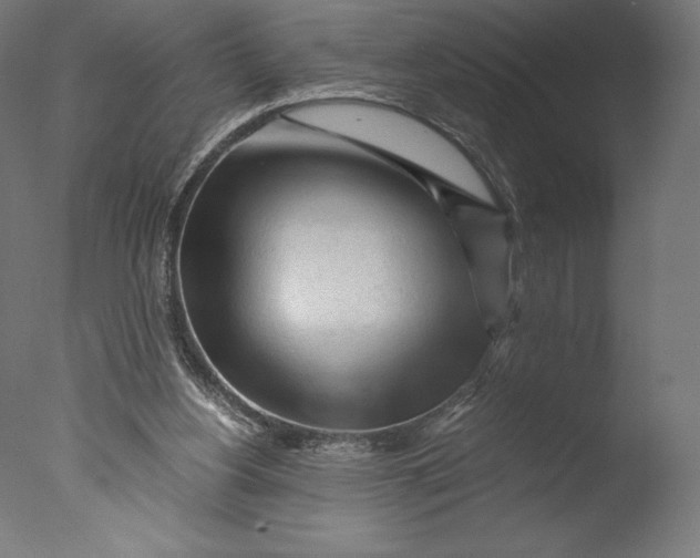 X0000076310156200610201622