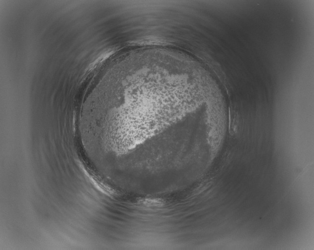 X0000076310157200610201622