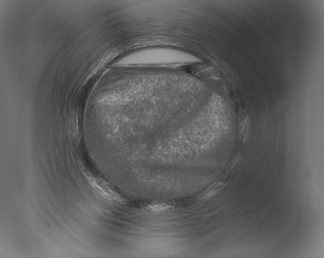 X0000076310158200610201622