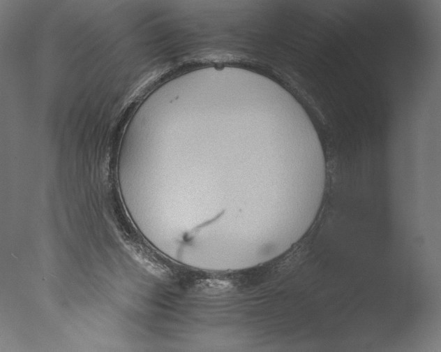 X0000076310159200610201622