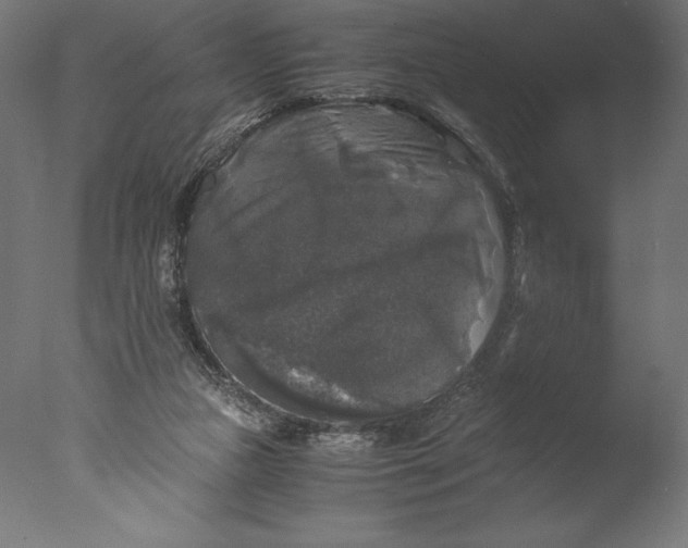 X0000076310161200610201622