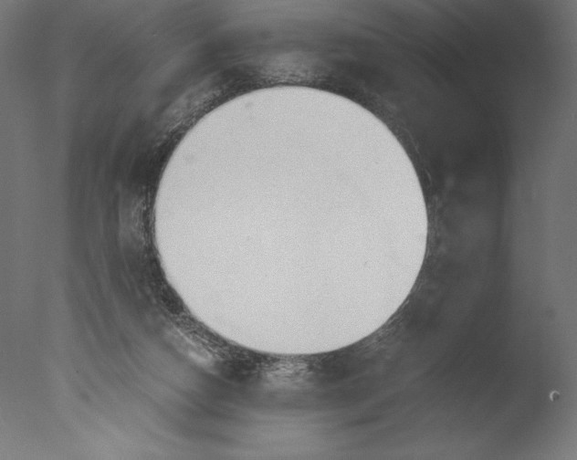 X0000076310162200610201622