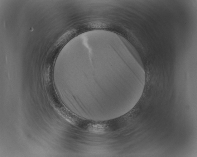 X0000076310163200610201622