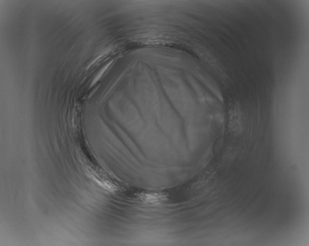 X0000076310165200610201622