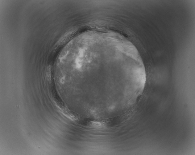 X0000076310167200610201622