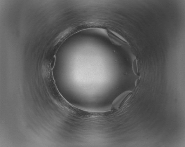 X0000076310168200610201622