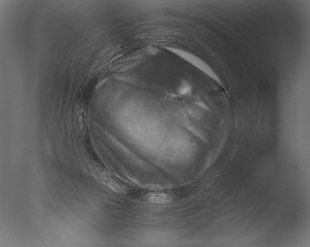 X0000076310169200610201622