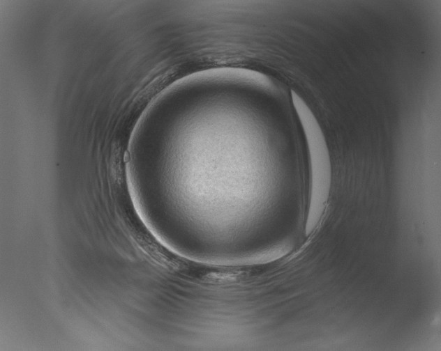 X0000076310170200610201622