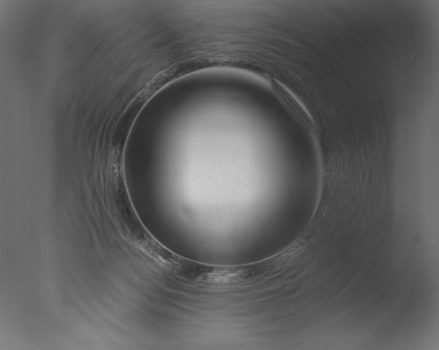 X0000076310172200610201622