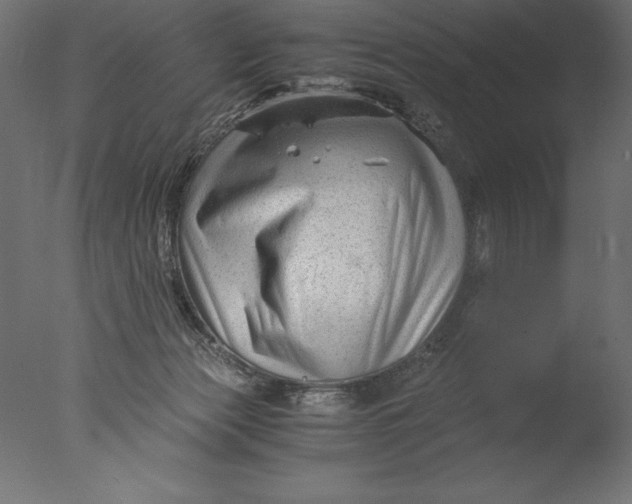 X0000076310173200610201622