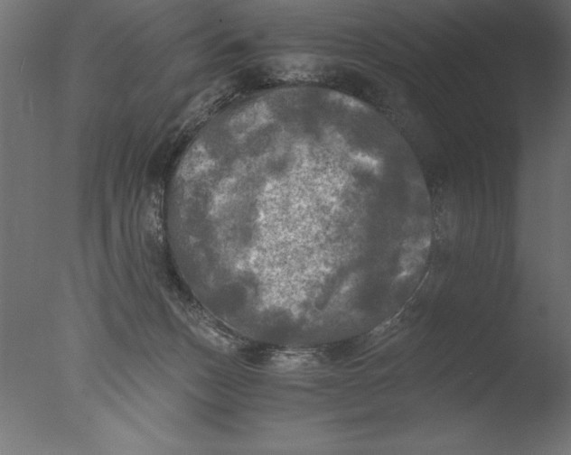 X0000076310175200610201622