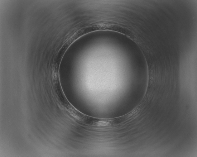 X0000076310176200610201622