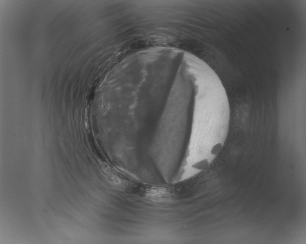 X0000076310177200610201622