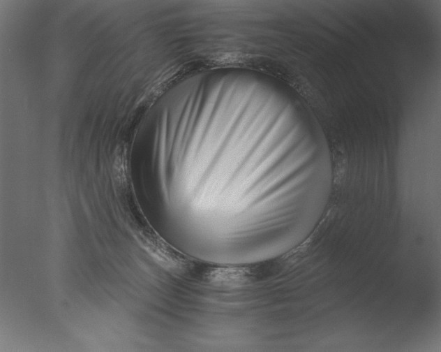 X0000076310179200610201622