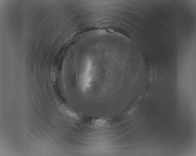 X0000076310180200610201622