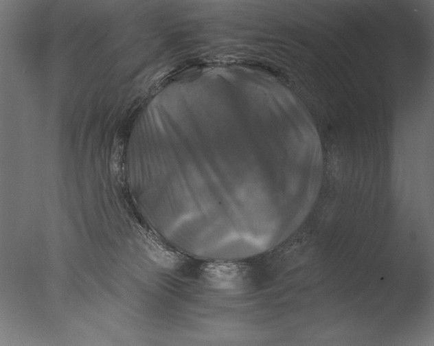 X0000076310181200610201622