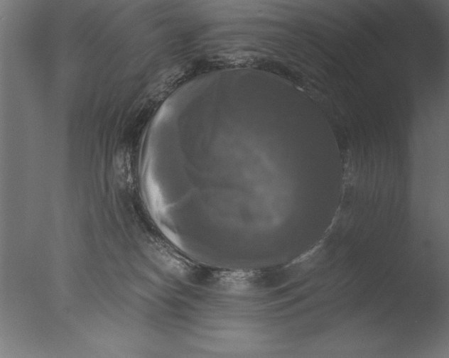 X0000076310182200610201622