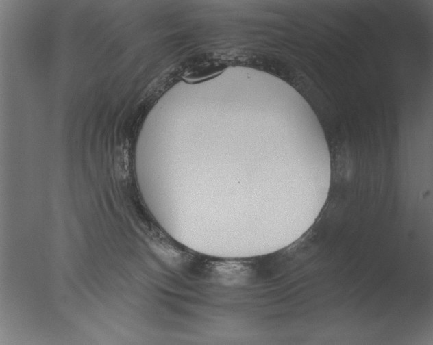 X0000076310183200610201622