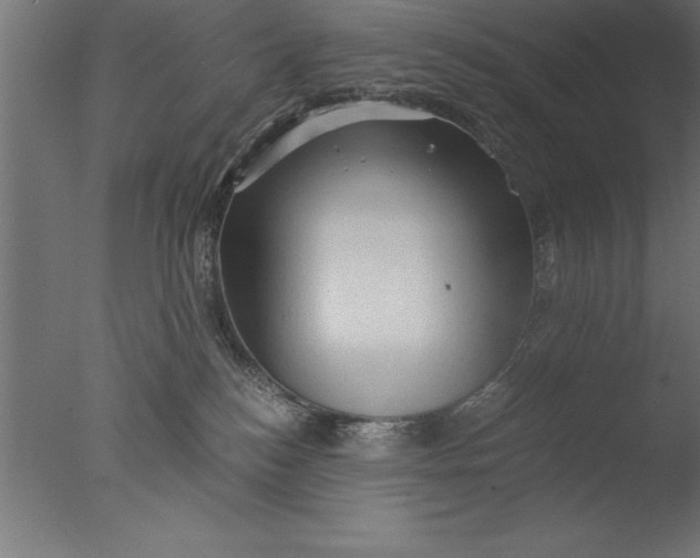 X0000076310184200610201622