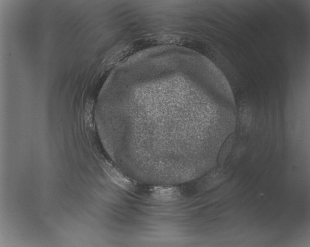 X0000076310185200610201622