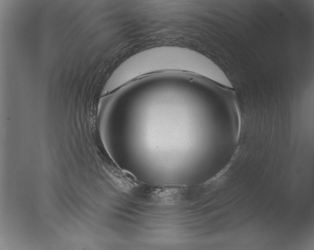 X0000076310186200610201622