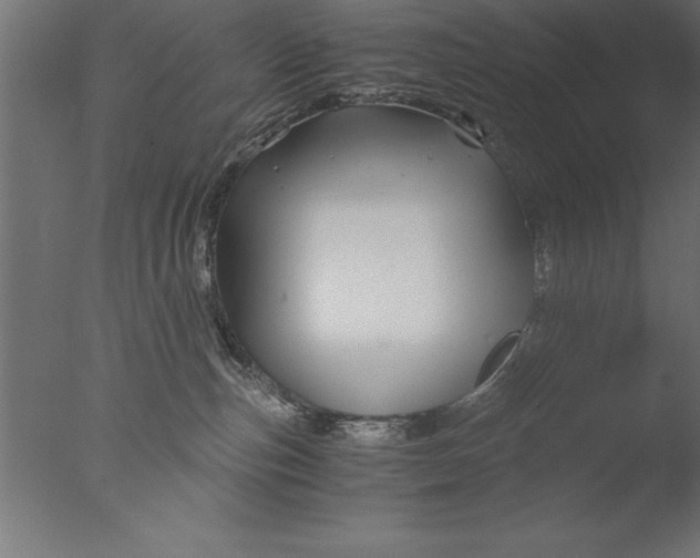 X0000076310187200610201622