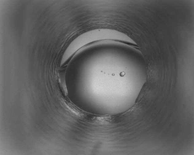 X0000076310188200610201622