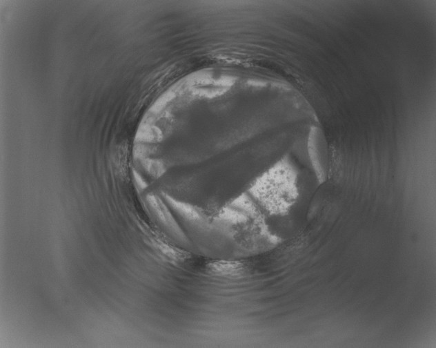 X0000076310189200610201622