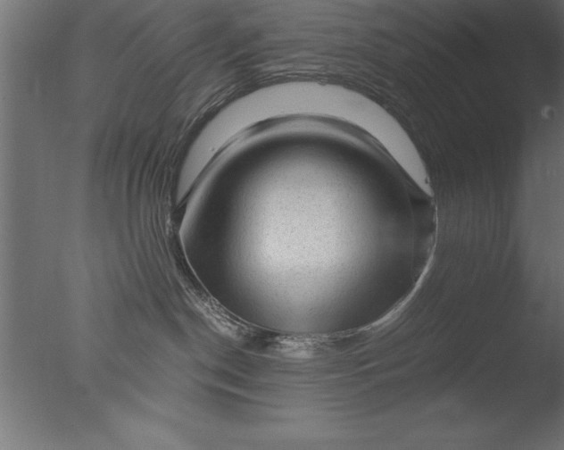 X0000076310190200610201622