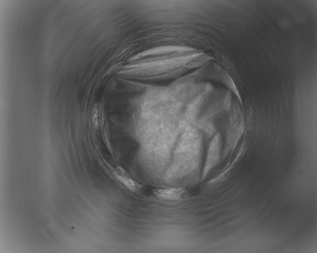 X0000076310191200610201622