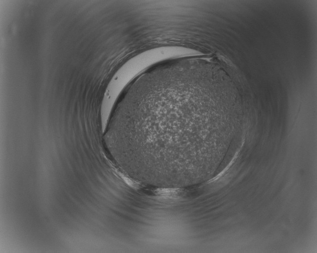 X0000076310192200610201622