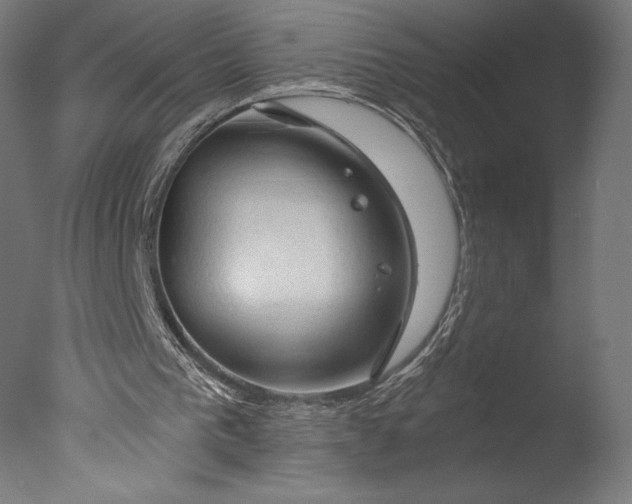 X0000076310193200610201621