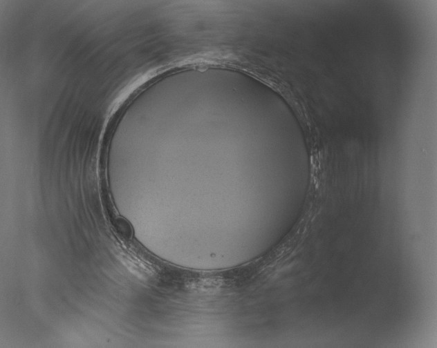 X0000076310196200610201621