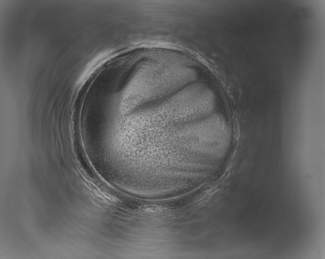 X0000076310199200610201621