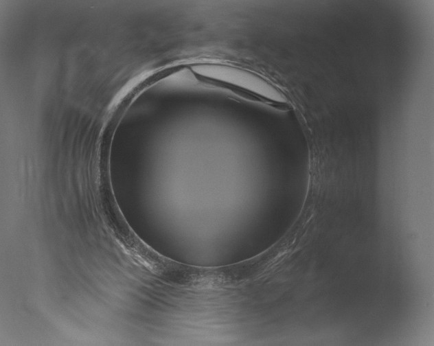 X0000076310200200610201621