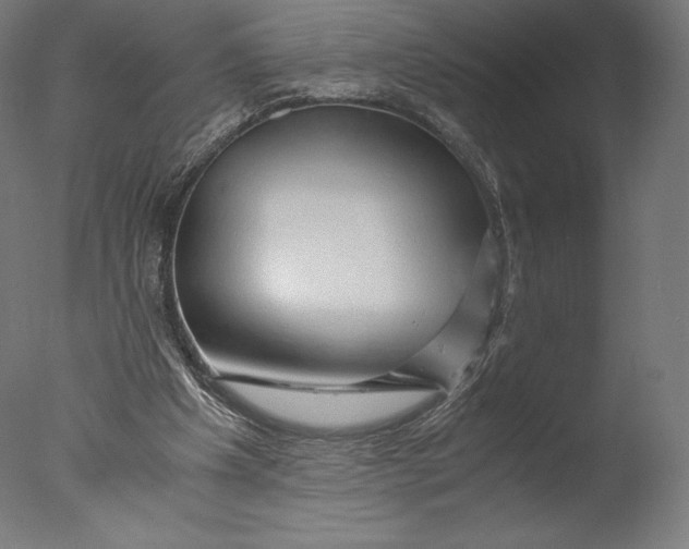 X0000076310201200610201621