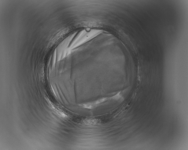 X0000076310202200610201621